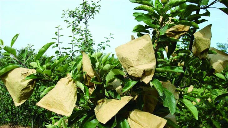 Galvanized Steel Wire For Electroplating Meshes